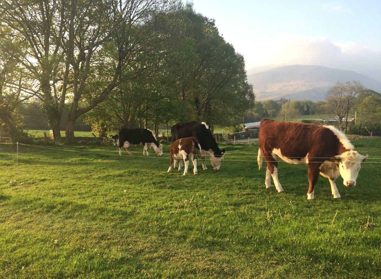 Inveraray Farm Beaufort Exterior photo